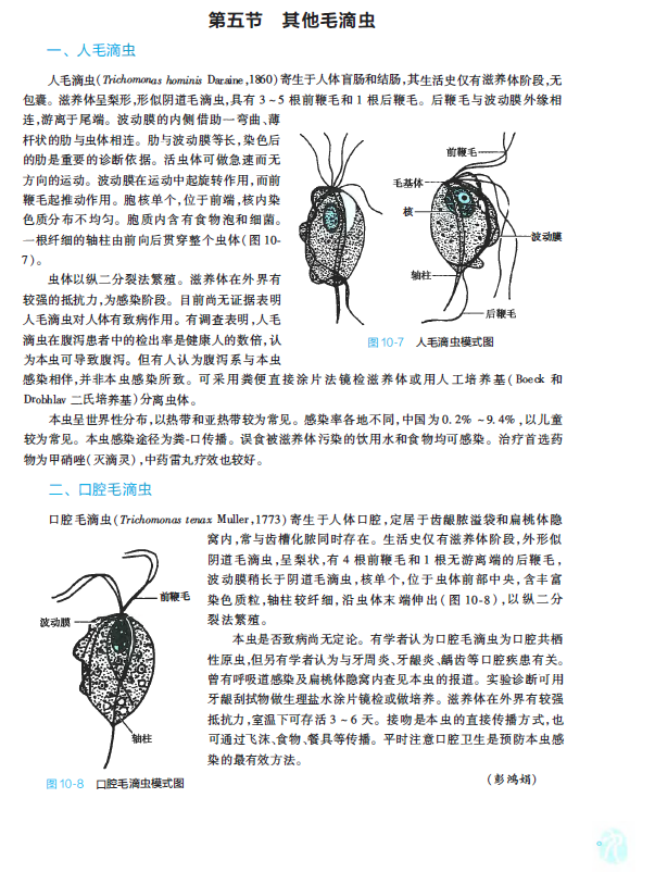 人卫第九版人体寄生虫学电子书PDF电子版插图2