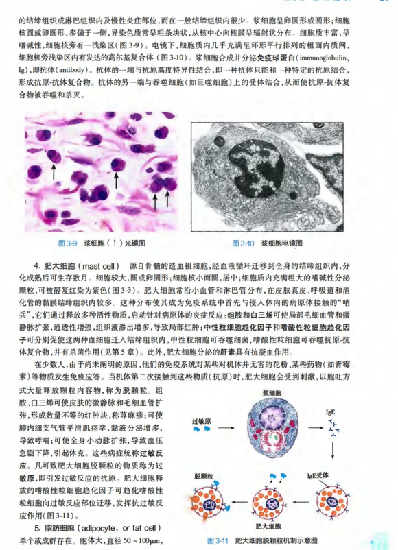 人卫第九版组织学与胚胎学电子书PDF电子版插图2