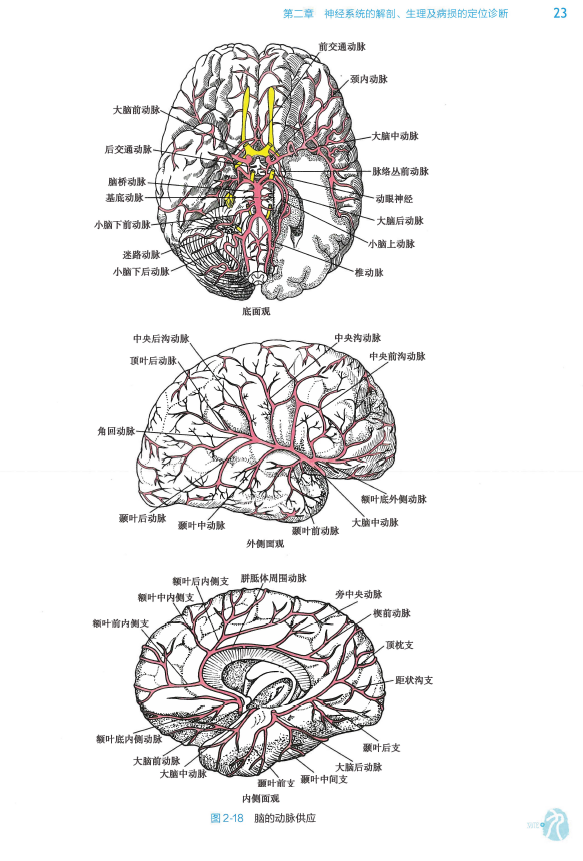 人卫第八版神经病学电子书PDF电子版插图2